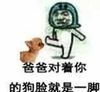 脸红 恶搞 逗比 爸爸对着你的狗脸就是一脚