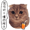 装作听不懂的样子 猫咪 可爱 搞笑 喵星人