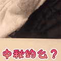萌宠 猫星人 中秋约吗 好奇 呆萌 可爱