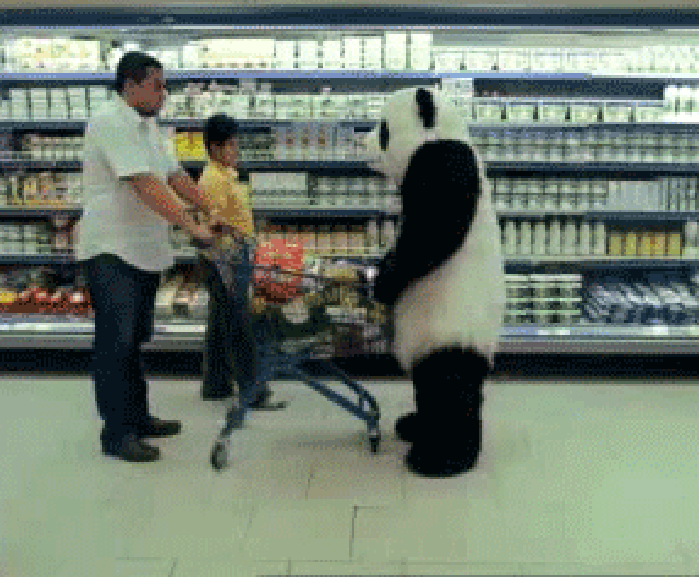 熊猫 国宝 翻车 超市