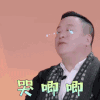 我家那闺女 傅春昇 哭唧唧 伤心