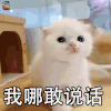 猫咪 猫 萌宠 伤心 拒绝 哪敢 说话 热门表情 soogif soogif出品