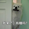 萌宠 猫星人 我来了 有糖吗 呆萌 可爱