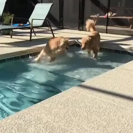游泳 swimming sports