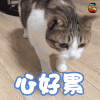 soogif soogif出品 心好累 心累 倒下 晕倒