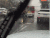寒冷 下雪 逗逼 打架