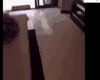 萌宠 狗 可爱 萌 泰迪