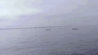 皮划艇 海豚 跳 庞大