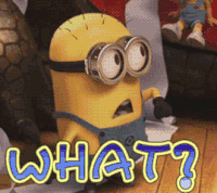 小黄人 what 可爱 斗图