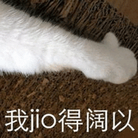 jio 阔以 猫