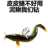 皮皮鳝 不好用 泥鳅我们钻 斗图 搞笑 猥琐