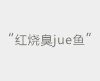 胡海泉 马苏 念错字 搞笑