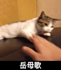 玩耍 灵活 可爱 岳母歌