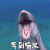 海底世界 鲸鱼 气到喷水 soogif soogif出品