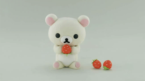 小熊 吃草莓 可爱 美味