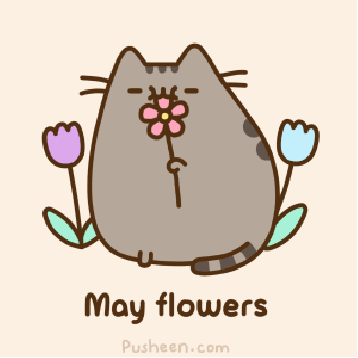 动漫 猫咪 可爱 鲜花