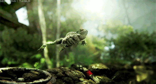 孤岛危机 青蛙 飞行 森林
