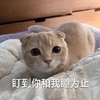 萌宠 喵星人 和我睡觉 一直盯着你 呆萌 可爱