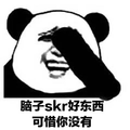 skr 脑子skr好东西可惜你没有