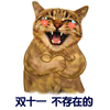 猫咪 萌宠 插肩 双十一不存在 的
