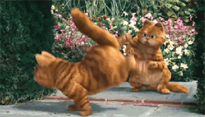加菲猫 卡通 跳舞 搞笑 花朵
