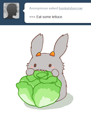 兔子 大白菜 吃 可爱