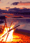 篝火 海边 浪漫 夕阳