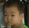 宋民国 冷漠 萌 可爱