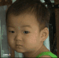 宋民国 冷漠 萌 可爱