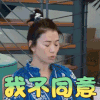 妻子的浪漫旅行 袁咏仪 我不同意 拒绝