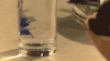 水杯 清澈 动物 可爱 萌萌哒