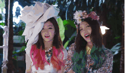 Happiness Irene MV Red&Velvet wendy 清新 花朵