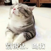 别说话 吻我 猫咪 陶醉