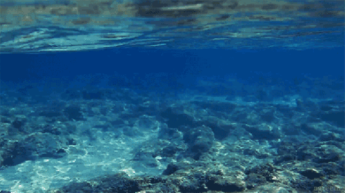 海水 水面 海底 蓝色