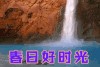 春日时光