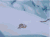 GIF动画 迪士尼 GIF 动画 冬天 小鹿斑比