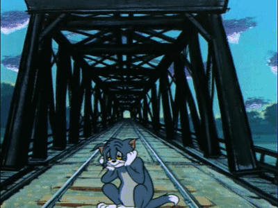 猫和老鼠 美国动画 汤姆 呆萌 轨道