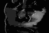 黑白的 black and white 抽象 艺术