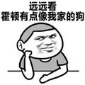 做人 不要太霍顿 像我家的狗 金馆长