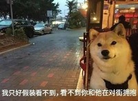 汪星人 单身狗 搞笑 文字表情包 光棍节