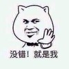 就是我 搞笑 斗图 猥琐