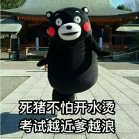 熊本熊 死猪不怕开水烫 考试越近爹越浪 斗图 搞笑 可爱 萌萌哒