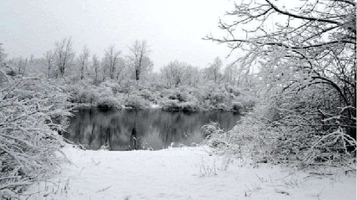 冬天 河流 下雪 美景