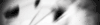 青之驱魔师 动漫 GIF 驱魔 gif