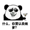得瑟 什么 你要认我做爹 熊猫人