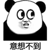 熊猫头 意想不到 搞怪 逗