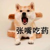狗狗 大喊 张嘴吃药 可爱