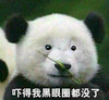 吓得我黑眼圈都没有了 恶搞 熊猫 可爱