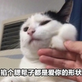 猫咪 手指 爱心 掐个腮帮子都是爱你的形状