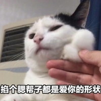 猫咪 手指 爱心 掐个腮帮子都是爱你的形状